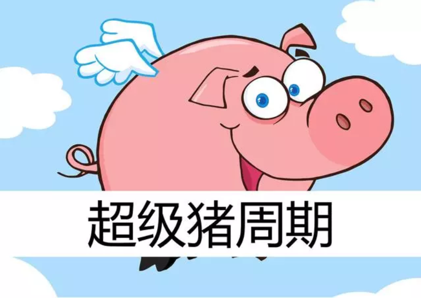 2019年下半年猪价预测：7、9月两次大涨，第四季度将达到顶峰